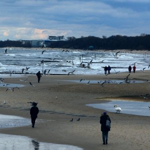 Am Strand von Kolberg