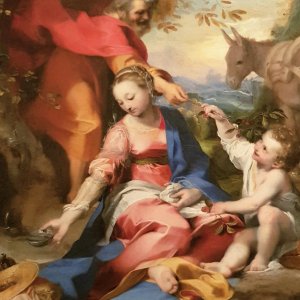 F. Barocci - Madonna mit den Kirschen