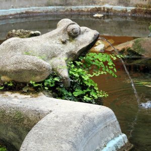 Froschbrunnen - Fatebenefratelli