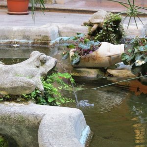 Froschbrunnen - Fatebenefratelli