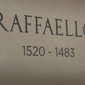 Raffael-Ausstellung