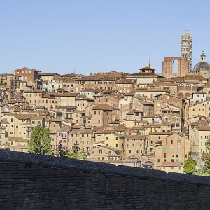 A_Siena3_5.jpg