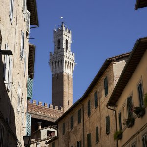 A_Siena3_10.jpg