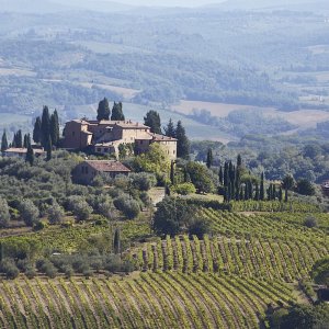 San Gimignano_7.jpg