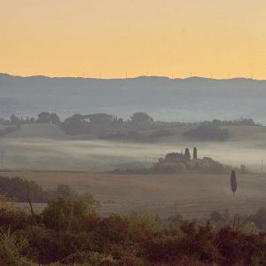 Morgenstimmung bei Querceto.jpg