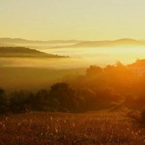 Morgenstimmung bei Querceto_10.jpg