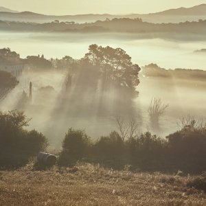 Morgenstimmung bei Querceto_24.jpg