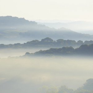 Morgenstimmung bei Querceto_36.jpg