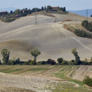 Crete Senesi _6.jpg