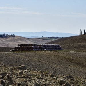 Crete Senesi _7.jpg