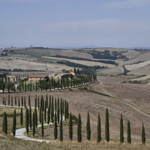 Crete Senesi _21.jpg