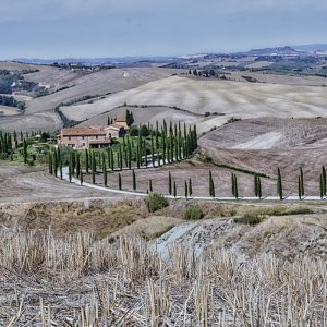 Crete Senesi _23.jpg