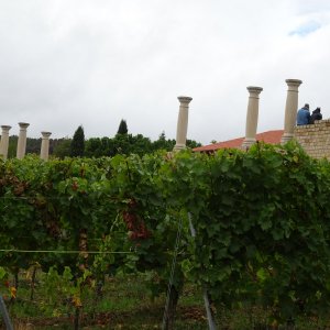 Römisches Weingut Weilberg