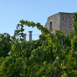 Römisches Weingut Weilberg