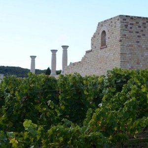 Römisches Weingut Weilberg
