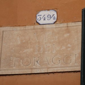 Via dei Foraggi