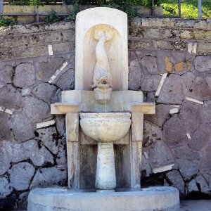 Brunnen im Rosengarten