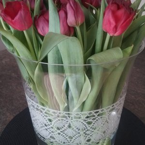 Tulpen-Strauß 1.jpg