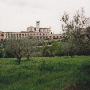 Assisi