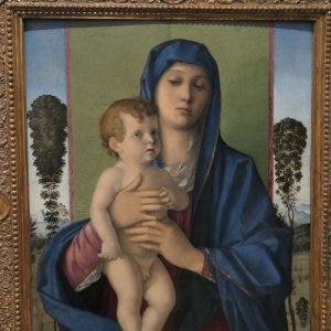 Bellini - Madonna degli alboretti