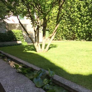 Garten von Carlo Scarpa