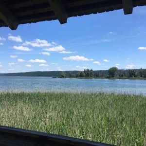 Naturschutzgebiet am Ammersee