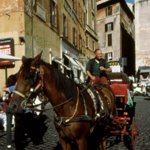Kutsche in der Altstadt von Rom