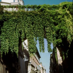 Arco Farnese in der Via Giulia