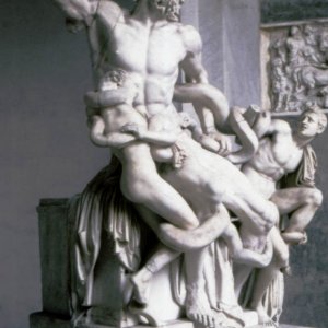 Die Statue des Laokoon und seiner Söhne in den Vaticanischen Museen