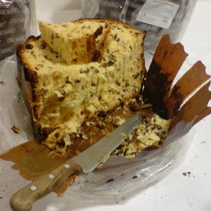 Panettone