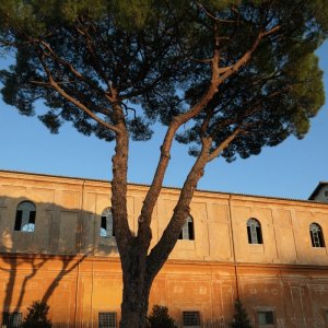 Musei Vaticani