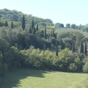 Landschaft bei Spoleto