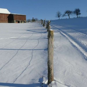 Winterimpressionen 2009