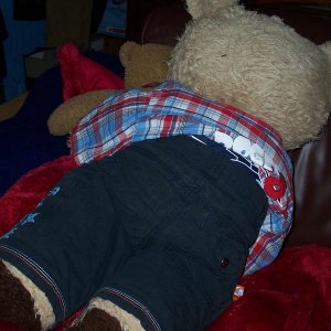 Teddy und Paulchen schlafen auf dem Sofa