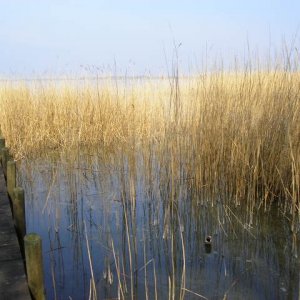 Mecklenburg - Vorpommern