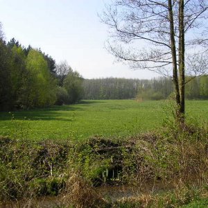 Mecklenburg - Vorpommern