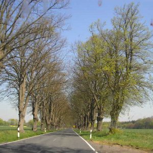 Mecklenburg - Vorpommern