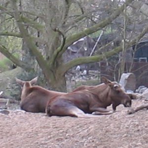 Zoom Erlebniswelt