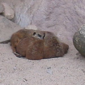 Zoom Erlebniswelt