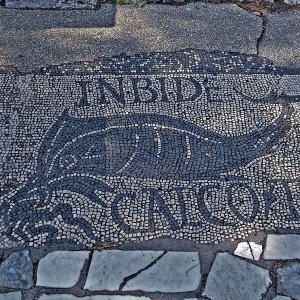 Ostia Antica Schwertfischmosaik