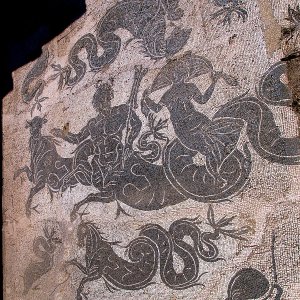 Ostia Antica Mosaik in der Terme di buticosus
