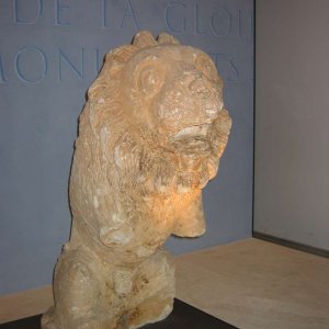 Lwe von Arles
