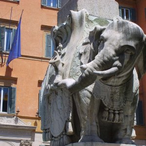 Bernini Elefant bei S. Maria Sopra Minerva
