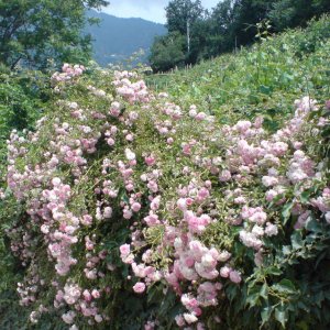 Kurzurlaub Sdtirol