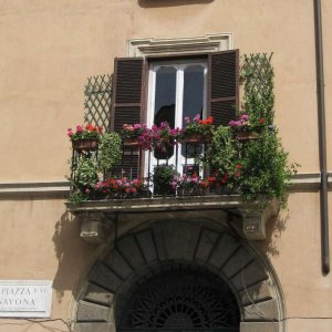 Fenster Piazza Navona