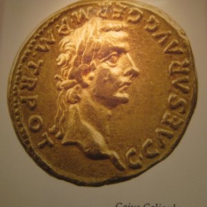 Ausstellung: Die Mnzen des Augustus