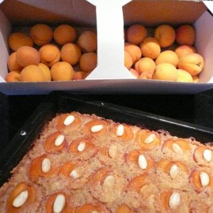 Mandel-Marillen-Kuchen