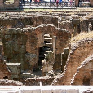 Rom mit Tchting - Kolosseum