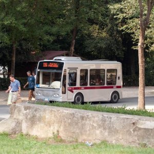 Bus 116