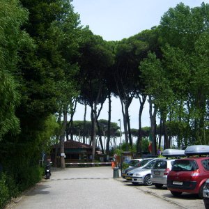 Campingplatz Paradiso, Viareggio